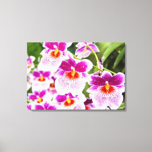 Tropische Fuchsia Orchids Wrapped Canvas (Voorkant)