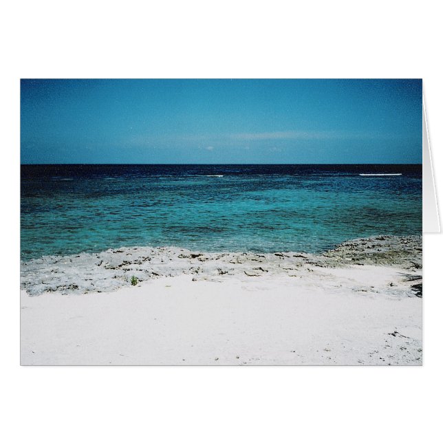 Tropische Gaze (Voorkant Horizontaal)