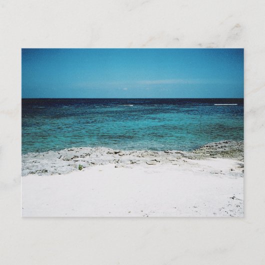 Tropische Gaze Post Kaart (Voorkant)