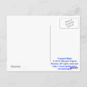 Tropische geblissen briefkaart (Achterkant)