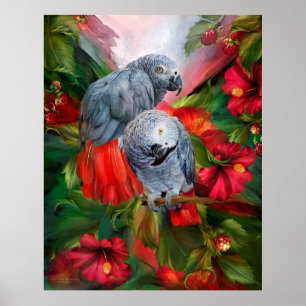 Tropische gedistilleerde dranken - Afrikaanse gray Poster