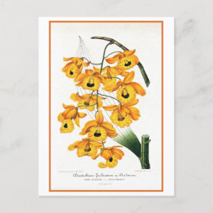 Tropische gele orchidee illustratie briefkaart