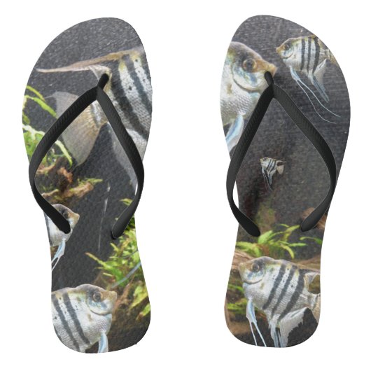 Tropische gestripte Teenslippers volwassen vissen (Voetbed)