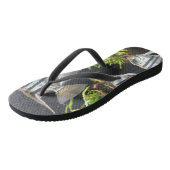 Tropische gestripte Teenslippers volwassen vissen (Schuin)