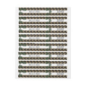 Tropische groen palmboom Faux Glitter Wedding (Vel)