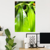 Tropische Groene Bladeren Foto Poster (Thuiskantoor)