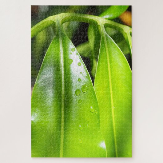 Tropische Groene Bladeren Foto Puzzel (Verticaal)