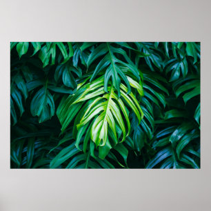 Tropische groene bladeren op een donkere achtergro poster