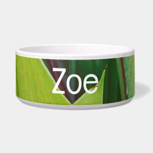 Tropische Groene Bladeren Pet Bowl met ZEO Tekst Voerbakje