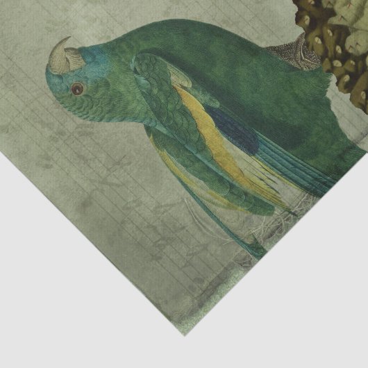  Tropische Groene Parrot Tissuepapier (Detail)
