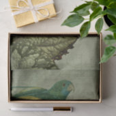 Tropische Groene Parrot Tissuepapier (Geschenk)