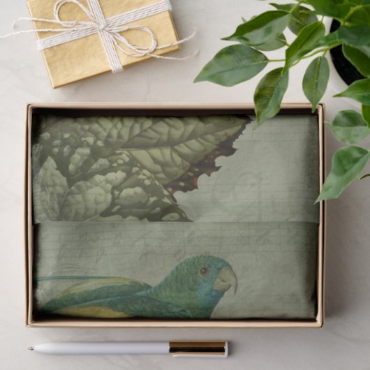  Tropische Groene Parrot Tissuepapier (Geschenk)