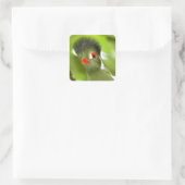 Tropische groene vogel sticker (Tas)