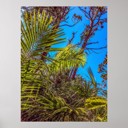 Tropische Groenen en Blue Sky Poster (Voorkant)