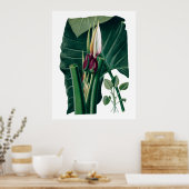 Tropische grote bladeren botanische druk poster (Keuken)