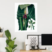 Tropische grote bladeren botanische druk poster (Thuiskantoor)