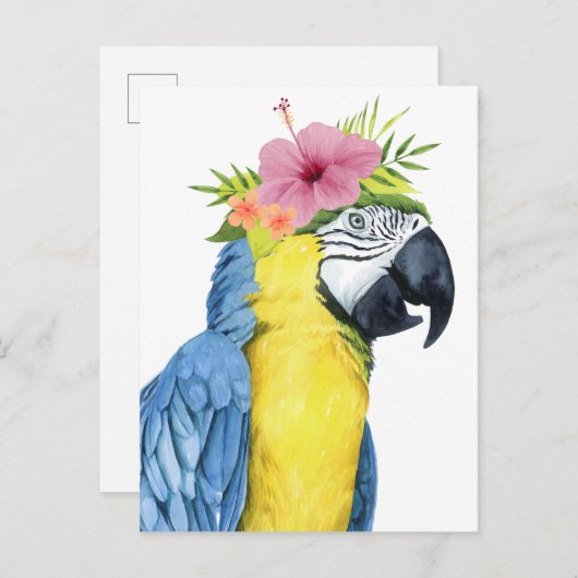 Tropische Halo - Parrot Briefkaart (Voorkant / Achterkant)