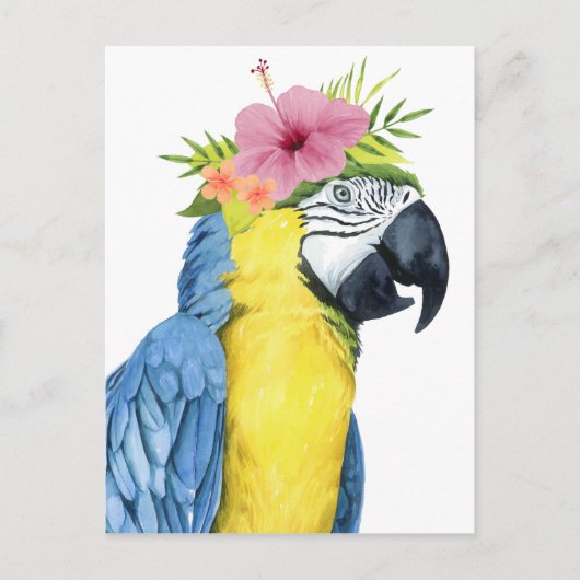 Tropische Halo - Parrot Briefkaart (Voorkant)