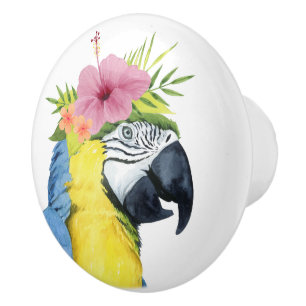 Tropische Halo - Parrot Keramische Knop