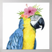 Tropische Halo - Parrot Poster (Voorkant)