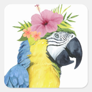 Tropische Halo - Parrot Vierkante Sticker