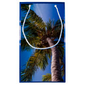 Tropische handpalm rond vibrant Blue Sky Klein Cadeauzakje (Achterkant)