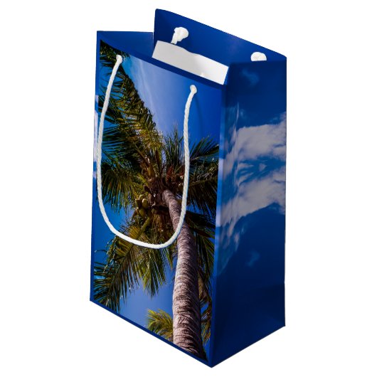 Tropische handpalm rond vibrant Blue Sky Klein Cadeauzakje (Achterkant Gekanteld)