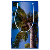 Tropische handpalm rond vibrant Blue Sky Klein Cadeauzakje (Voorkant)