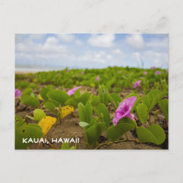 Tropische Hawaï-stransploer | Briefkaart Kauai