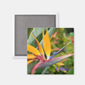 Tropische Hawaïaanse bloemen paradijsvogel Kauai Magneet (Voorkant / Achterkant)