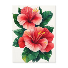 Tropische Hawaii Lichtrode Hibiscus