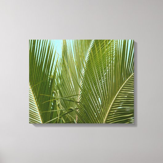 Tropische Hawaii palmboom Canvas Afdruk (Voorkant)