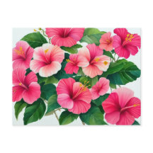 Tropische Hawaii roze-witte hibiscus