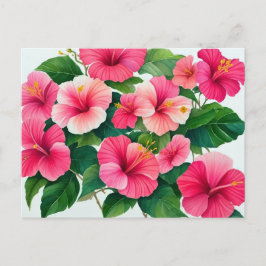 Tropische Hawaii roze-witte hibiscus Briefkaart