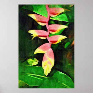 Tropische Heliconia - Lobster Claw  Poster