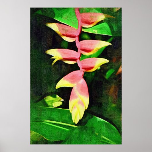 Tropische Heliconia - Lobster Claw Poster (Voorkant)