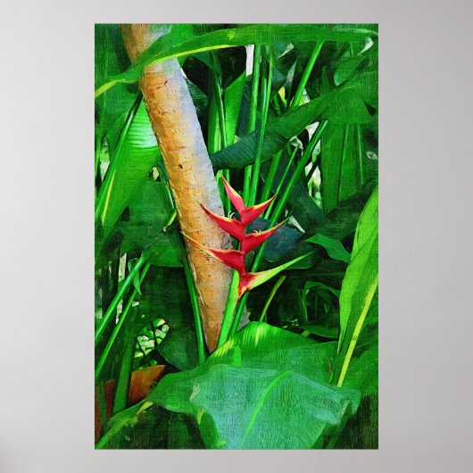 Tropische Heliconia - Lopen in de tuin Poster (Voorkant)