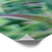 TROPISCHE HELICONIE POSTER (Hoek)