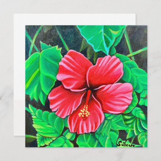 Tropische Hibiscus (Voorkant / Achterkant)