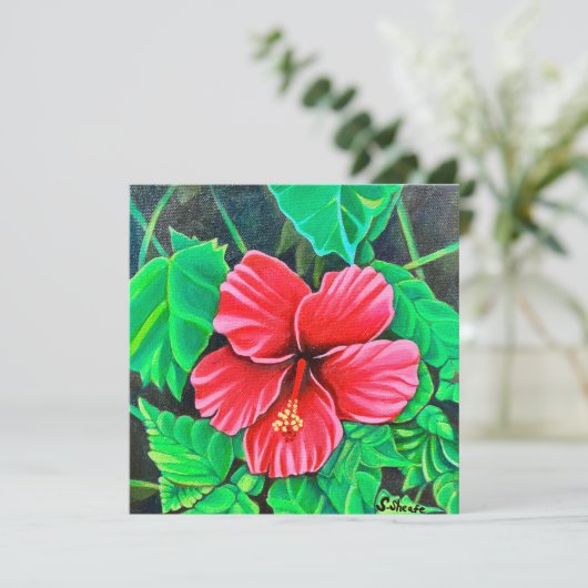 Tropische Hibiscus (Staand voorkant)