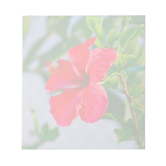 Tropische HIbiscus Floral Print Notitieblok (Voorkant)