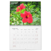 Tropische Hibiscus Flowers Agenda Kalender (Feb 2027)