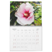 Tropische Hibiscus Flowers Agenda Kalender (Mar 2027)