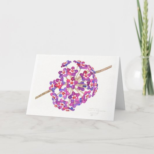 Tropische honingsKaart Kaart (Voorkant)