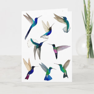 Tropische Hummingvogelkaart Kaart
