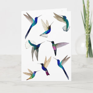 Tropische Hummingvogelkaart Kaart