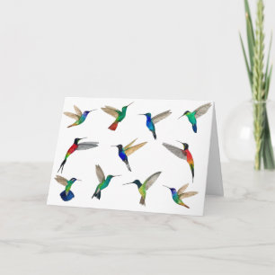 Tropische Hummingvogels Kaart
