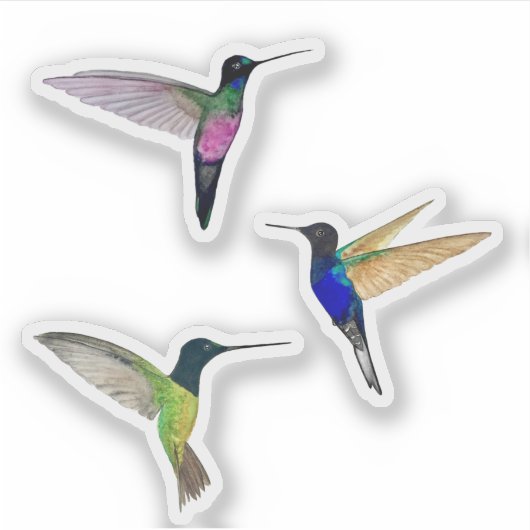 Tropische Hummingvogels Sticker (Voorkant)
