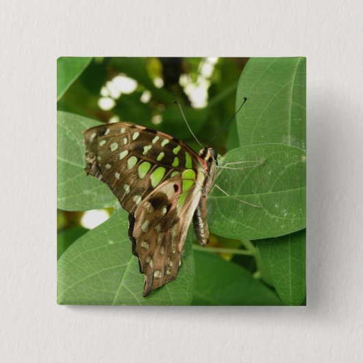 Tropische Iridescent Green Butterfly Button (Voorkant)