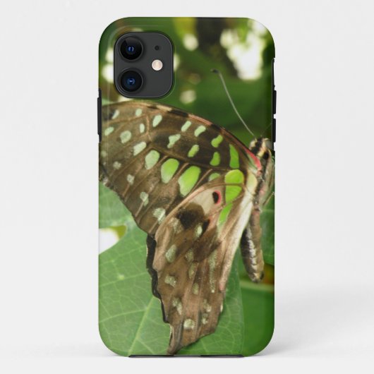 Tropische Iridescent Green Butterfly iPhone Case (Achterkant)